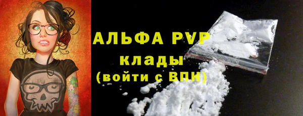СК Арсеньев