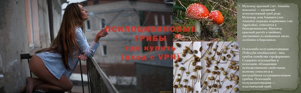 прущая мука Аркадак