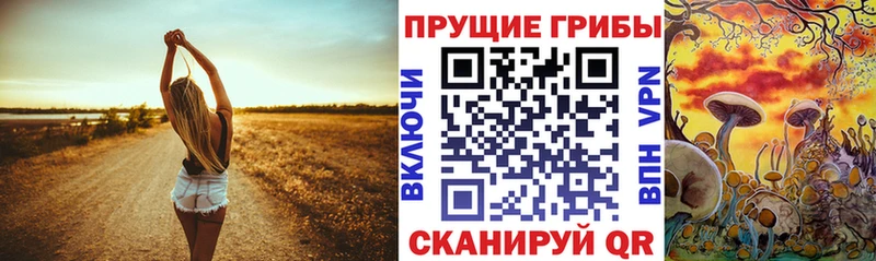 наркотики  Куйбышев  Псилоцибиновые грибы ЛСД 