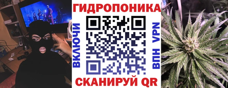 Каннабис семена  МЕГА ссылки  Куйбышев 
